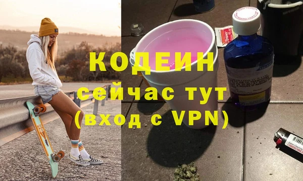 прущие грибы Верея