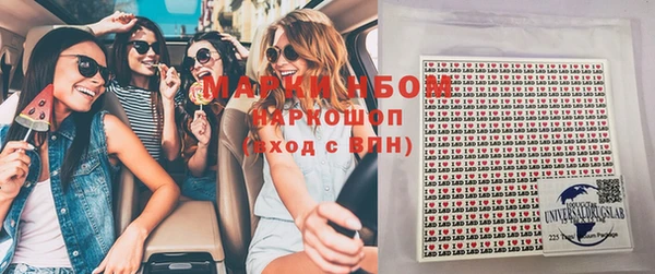 прущие грибы Верея