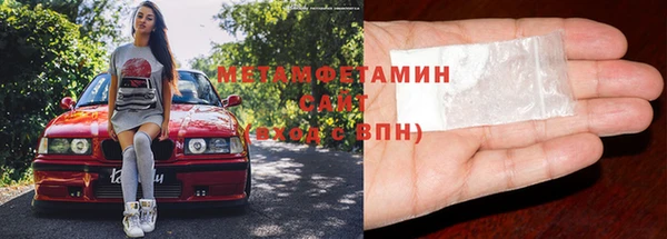 прущие грибы Верея